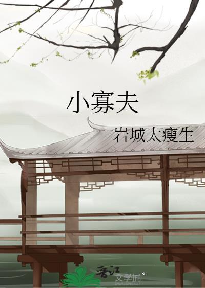 小寡夫by百度txt