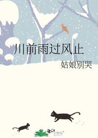 川前雨过风止全文免费txt