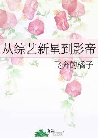 从综艺开始成为顶流