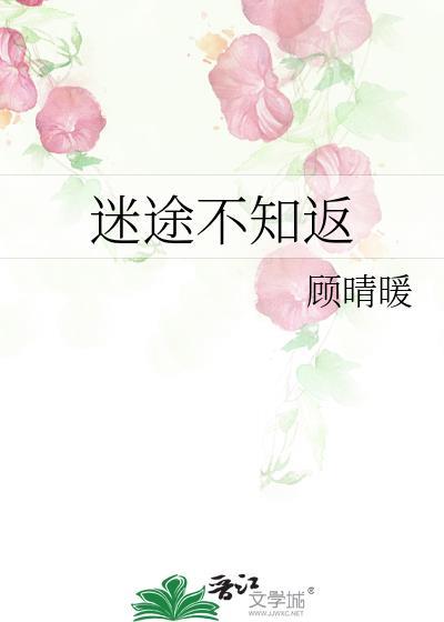 迷途不知返附带番外