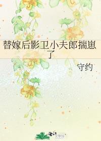 替嫁后影卫小夫郎揣崽了有车吗