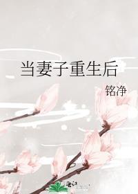 妻子重生了他没有书评