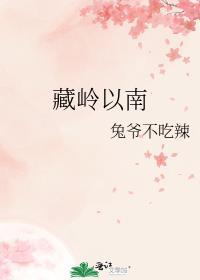 藏南边境线真实现状