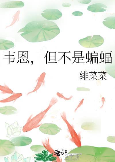韦恩蝙蝠侠是哪一部