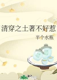 清穿土著奋斗记