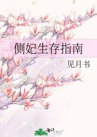 侧妃悠闲生活乐文