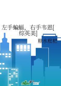我的左手蝙蝠侠