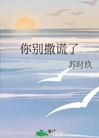 你别撒谎了笔趣阁