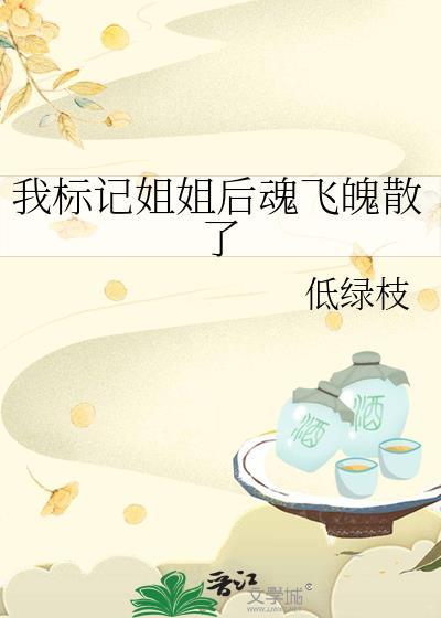 我标记的前任大佬姐姐
