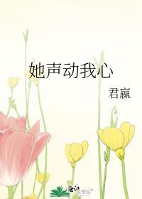 她声动我心番外txt电子书