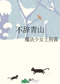 姜怀柔沈稚水不辞青山