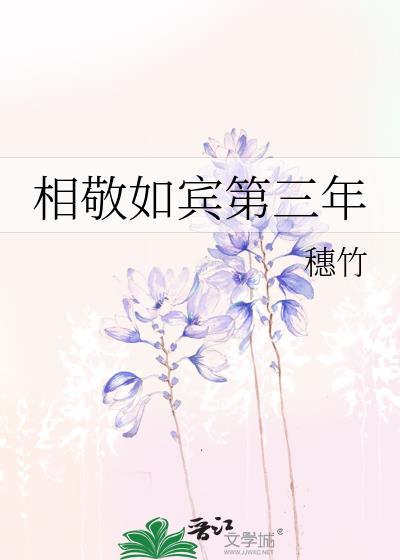 相敬如宾第三年穗竹免费阅读