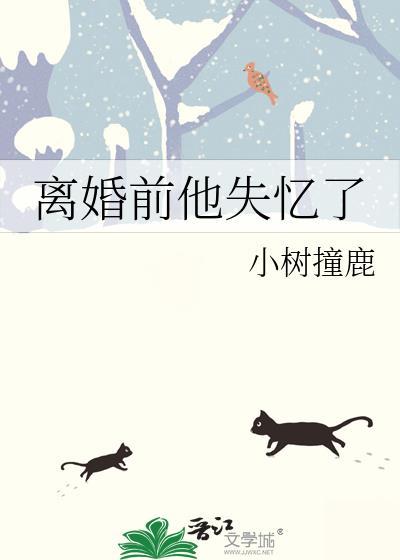 离婚前失忆了的gl