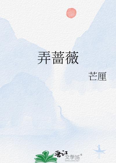 弄蔷薇芒厘番外TXT