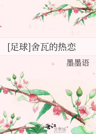 足球舍瓦的热恋百度资源