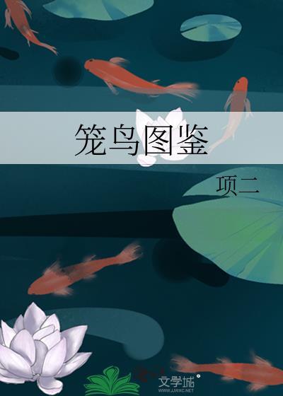 笼鸟图鉴讲的什么