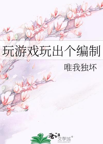 玩游戏玩出个编制完结