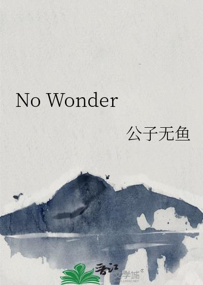 no wonder翻译