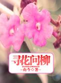 何寻梦哪里人简历