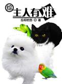 主人怪怪的意思是什么