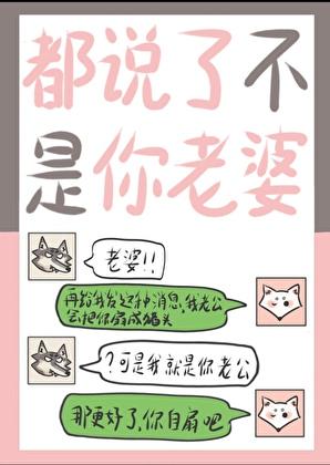 不是说了吗老婆