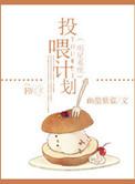 明星系统合集