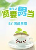 重生之贤妻难为全文txt
