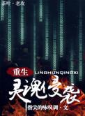 灵魂侵袭菠萝笔记