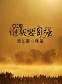 穿越之炮灰的逆袭