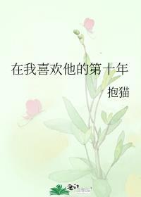 在我喜欢他的第十年TXT资源