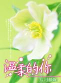 王杰林忆莲温柔的你