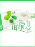 旧情复燃是什么