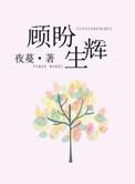 顾盼生辉全集免费资源
