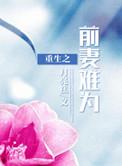 重生前妻后悔短剧