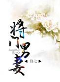 将门男妻讲的是什么