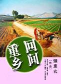 回到乡士