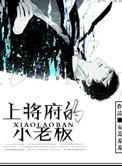 上将军是什么