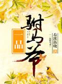 一品驸马陈世美攻略
