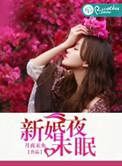 新婚夜大结局