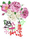 八零年代农家媳
