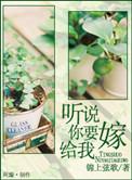 听说你要结婚了txt七里马