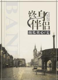 终身伴侣拼音