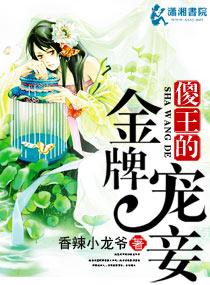一口气看完傻王夺嫡04