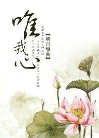 唯我心知有来处打三个数字