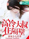 关于高冷大叔的