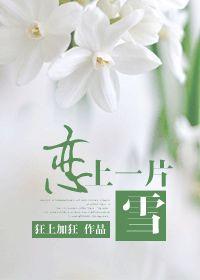 恋上一片雪狂上加狂免费阅读