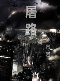 屠路 金丙txt