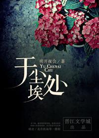 于尘埃处林阅