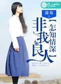 我非良人奈何情深出处