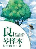 良琴择木晨雾的光